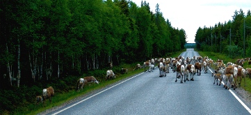 road